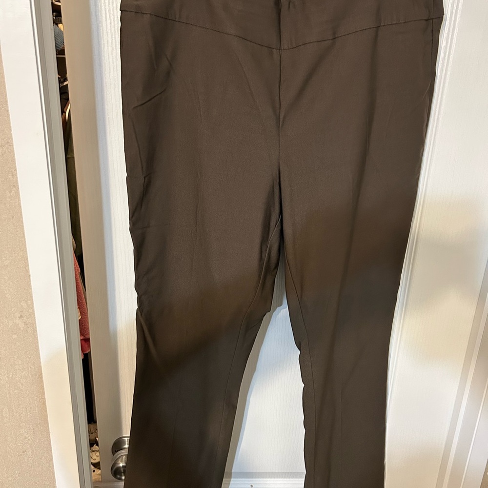 Tribal Women's Dark Brown Straight Leg Pants